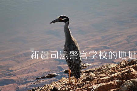 新疆司法警官学校的地址 新疆司法警官学校的地址