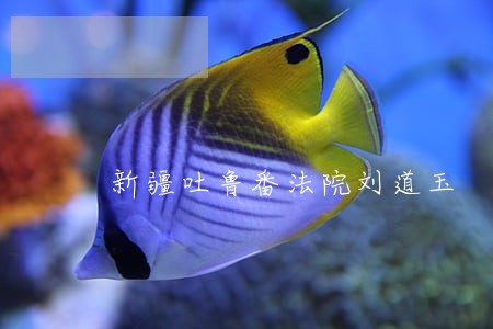 新疆吐鲁番法院刘道玉 新疆吐鲁番法院刘道玉