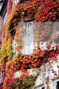 新疆启道金融逾期原因 新疆启道金融逾期原因