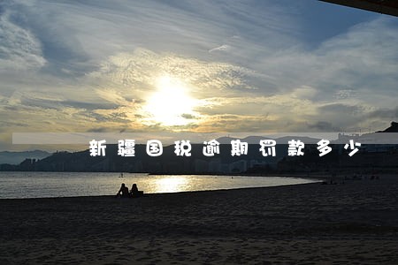 新疆国税逾期罚款多少 新疆国税逾期罚款多少