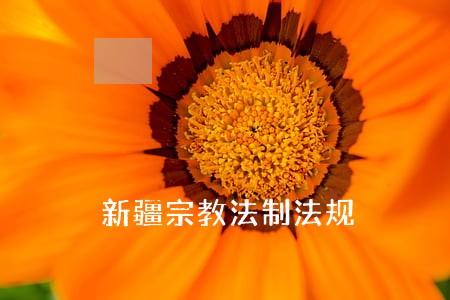新疆宗教法制法规 新疆宗教法制法规