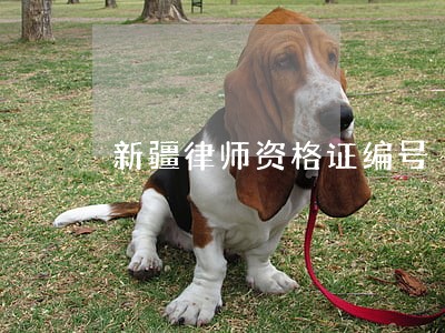 新疆律师资格证编号 新疆律师资格证编号