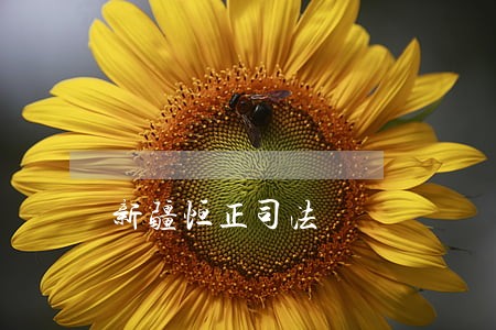 新疆恒正司法