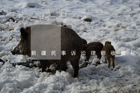 新疆民事诉讼律师收费标准 新疆民事诉讼律师收费标准