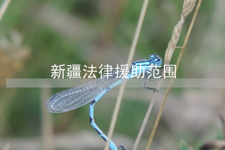 新疆法律援助范围 新疆法律援助范围