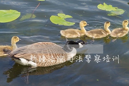 新疆法院司法警察培训