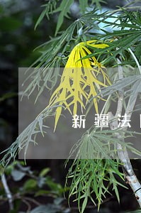 新疆法院庭审视频直播 新疆法院庭审视频直播