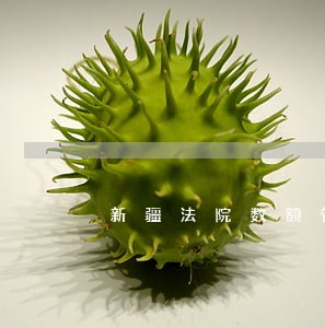 新疆法院数额管辖 新疆法院数额管辖