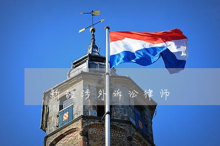 新疆涉外诉讼律师