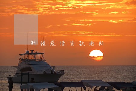 新疆疫情贷款逾期