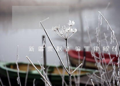 新疆票据诈骗罪律师在线咨询 新疆票据诈骗罪律师在线咨询