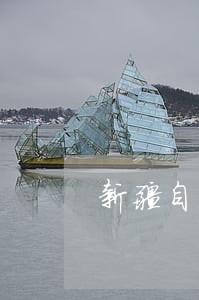 新疆自治法规 新疆自治法规