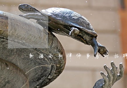新疆西创律师事务所招聘