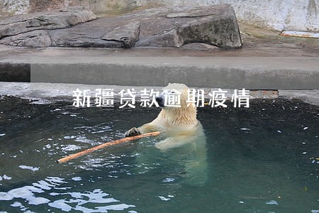 新疆贷款逾期疫情