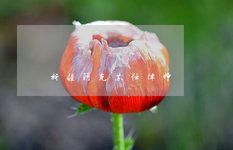 新疆阿克苏任律师 新疆阿克苏任律师