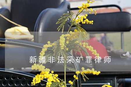 新疆非法采矿罪律师 新疆非法采矿罪律师