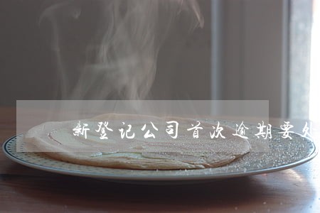 新登记公司首次逾期要处罚吗 新登记公司首次逾期要处罚吗