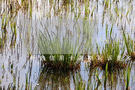 新的信用卡逾期起诉是多少钱 新的信用卡逾期起诉是多少钱