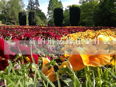 新的刑法修正案什么时候能执行 新的刑法修正案什么时候能执行