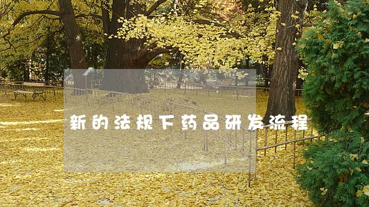 新的法规下药品研发流程 新的法规下药品研发流程