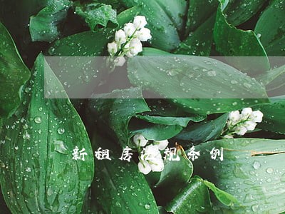 新租房法规条例 新租房法规条例