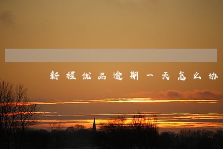 新程优品逾期一天怎么协商 新程优品逾期一天怎么协商