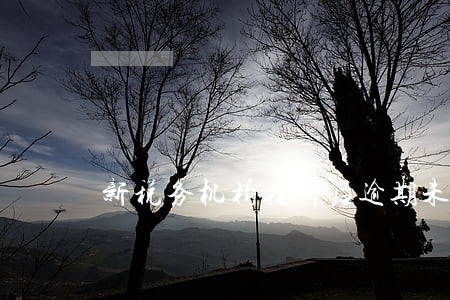 新税务机构挂牌后逾期未申报 新税务机构挂牌后逾期未申报