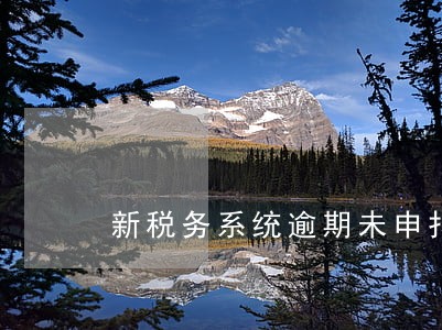 新税务系统逾期未申报 新税务系统逾期未申报