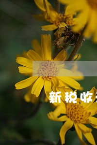 新税收法律制度ppt课件 新税收法律制度ppt课件