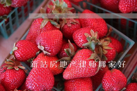 新站房地产律师哪家好 新站房地产律师哪家好