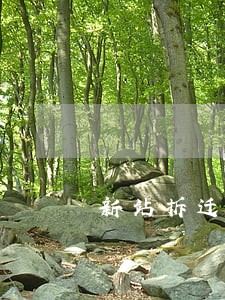 新站拆迁律师咨询费用 新站拆迁律师咨询费用