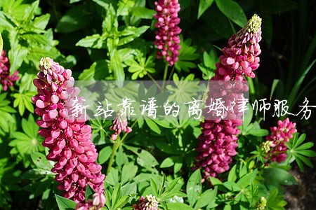 新站靠谱的离婚律师服务 新站靠谱的离婚律师服务