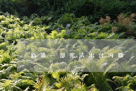 新第一部宪法出台内幕
