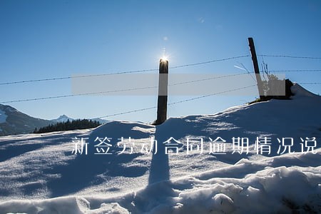 新签劳动合同逾期情况说明 新签劳动合同逾期情况说明