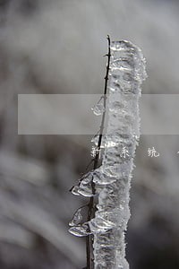 新系统个税逾期未申报怎么处理