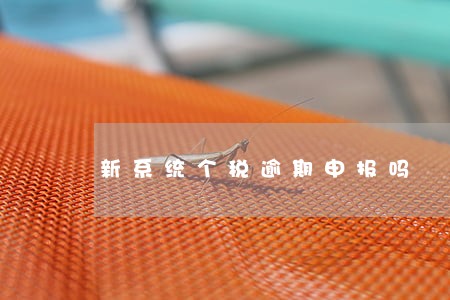 新系统个税逾期申报吗 新系统个税逾期申报吗