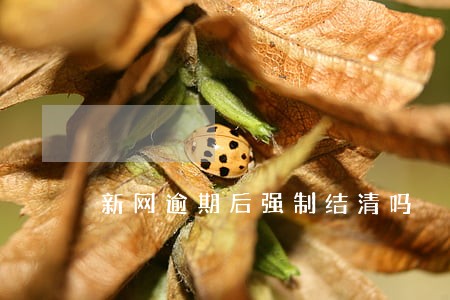 新网逾期后强制结清吗 新网逾期后强制结清吗