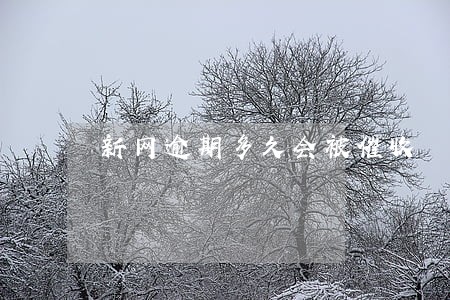 新网逾期多久会被催收 新网逾期多久会被催收