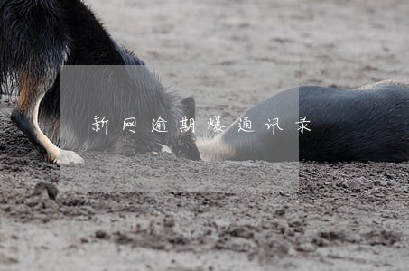 新网逾期爆通讯录 新网逾期爆通讯录