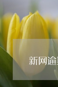 新网逾期罚息太高哪里投诉 新网逾期罚息太高哪里投诉