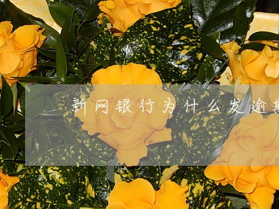 新网银行为什么发逾期 新网银行为什么发逾期