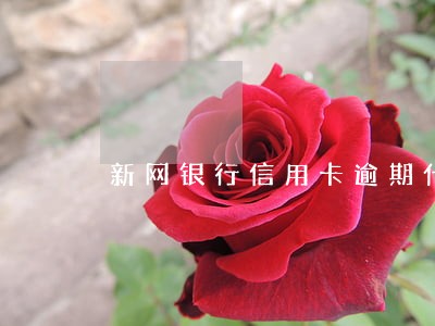 新网银行信用卡逾期什么意思 新网银行信用卡逾期什么意思