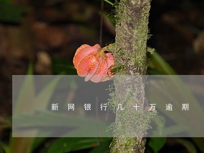 新网银行几十万逾期 新网银行几十万逾期