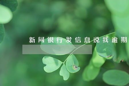 新网银行发信息说我逾期 新网银行发信息说我逾期