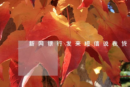 新网银行发来短信说我贷款逾期 新网银行发来短信说我贷款逾期
