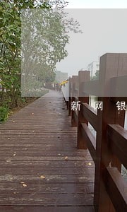 新网银行好人贷逾期3个月怎么办 新网银行好人贷逾期3个月怎么办