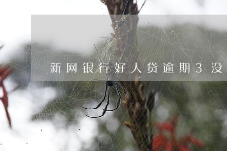 新网银行好人贷逾期3没事吧
