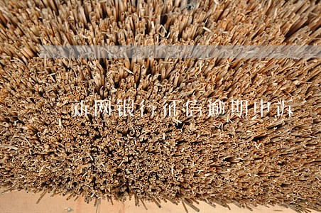 新网银行征信逾期申诉 新网银行征信逾期申诉