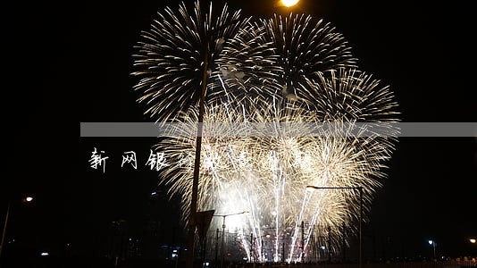 新网银行故意逾期 新网银行故意逾期