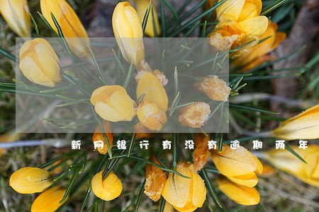 新网银行有没有逾期两年的 新网银行有没有逾期两年的